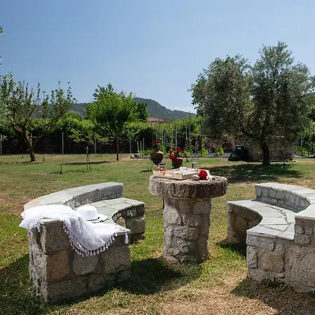Villa Tsitreli Sykia Chalkidikis Exterior photo