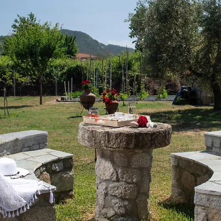 Villa Tsitreli Sykia Chalkidikis Exterior photo