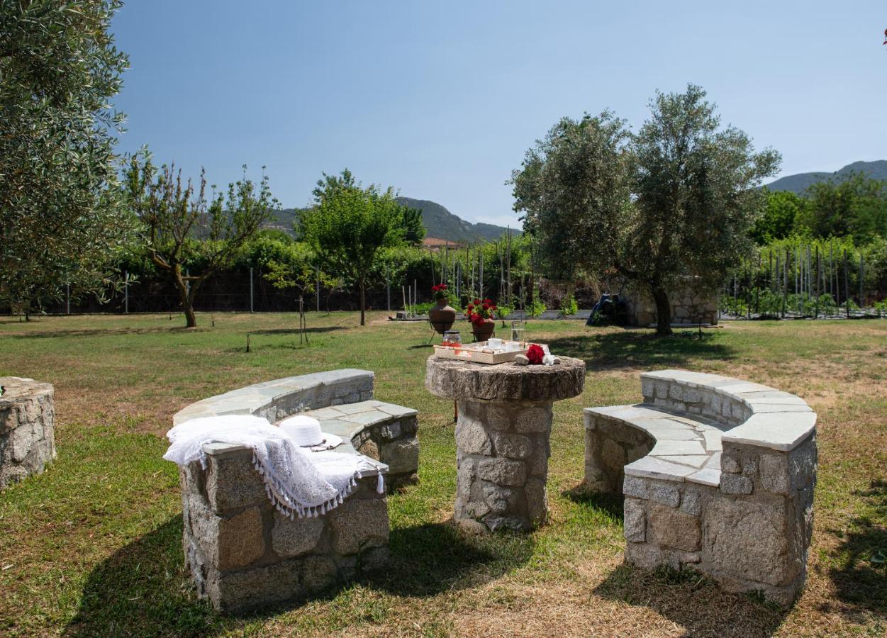 Tsitreli Sykia