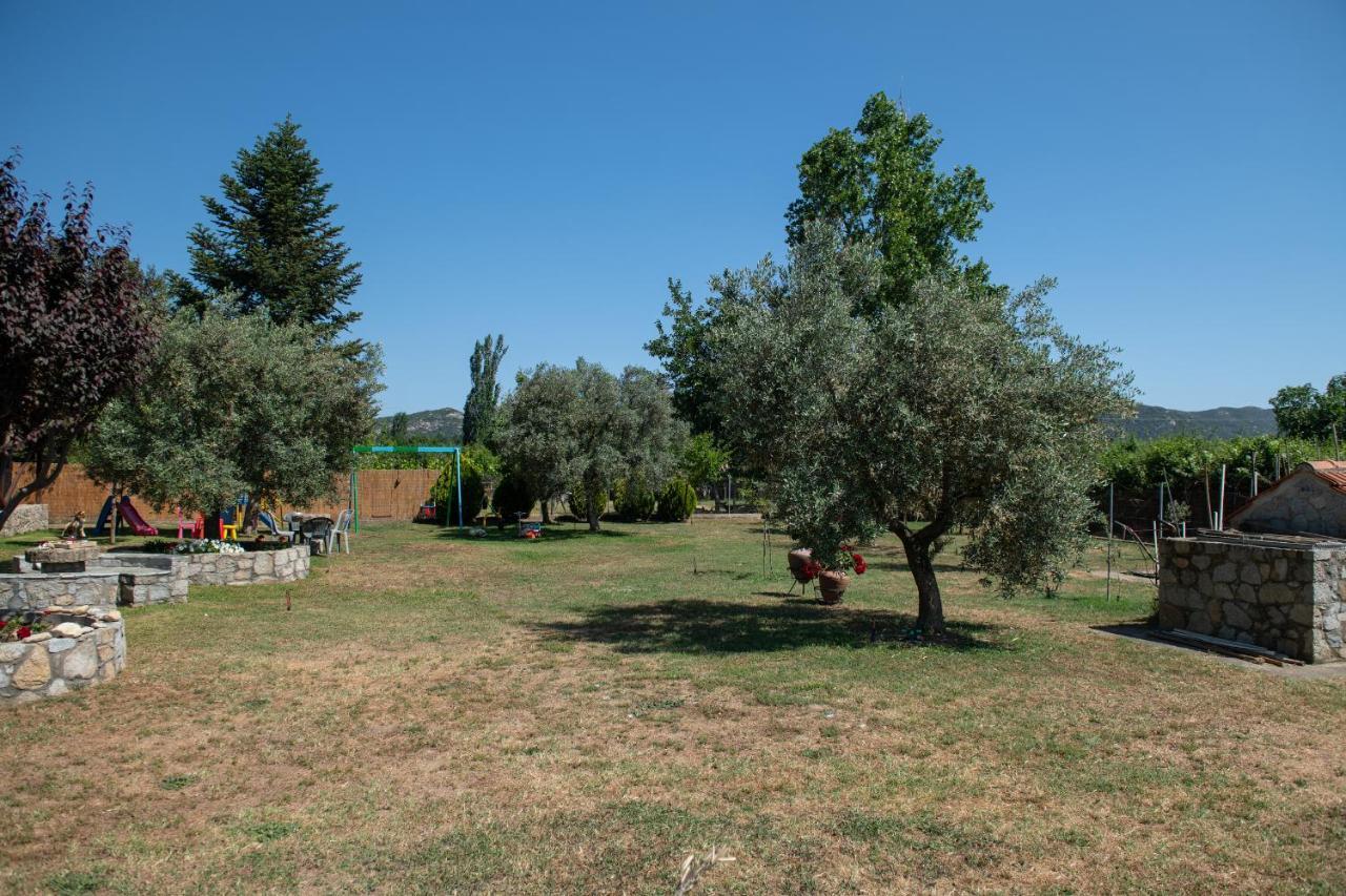 Tsitreli * Sykia Chalkidikis