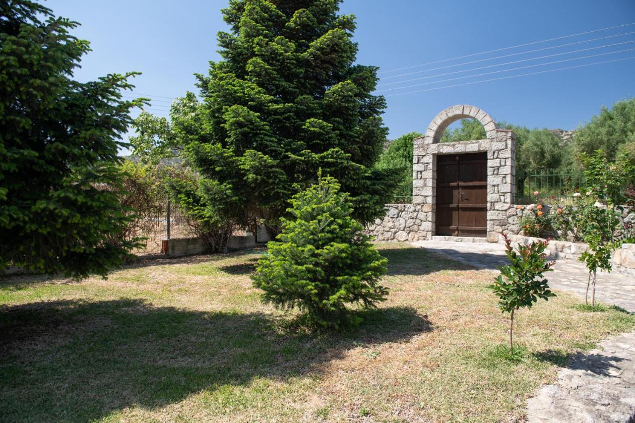Apartment Tsitreli