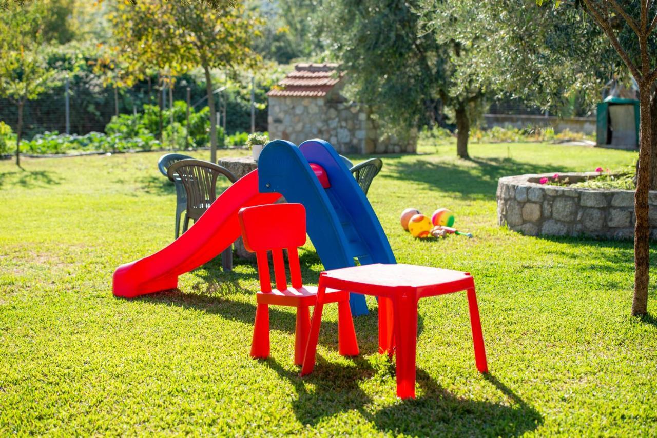 Tsitreli * Sykia